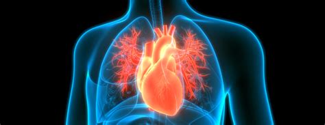 CardioMEMS | Conditions & Treatments | UCSF Health