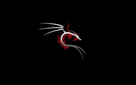 Kali Linux Dark Wallpaper 4k