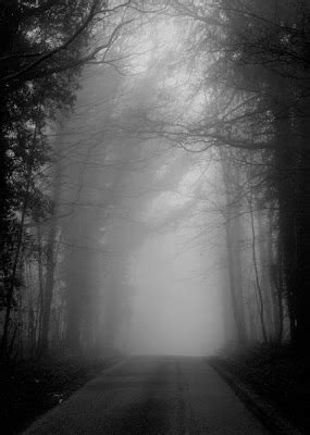 Dark Foggy Road