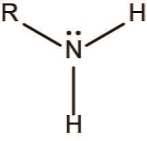 Amino Functional Group | ChemTalk