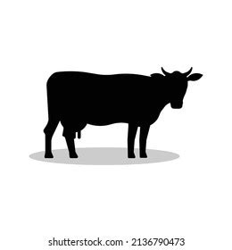 Black Cow Silhouette Isolated On White Stock Vector (Royalty Free) 2136790473 | Shutterstock