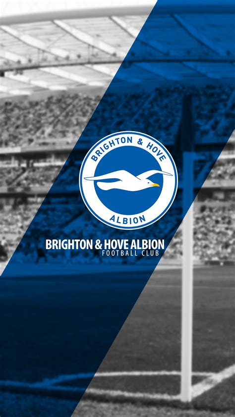 Brighton And Hove Albion Wallpapers - Wallpaper Cave