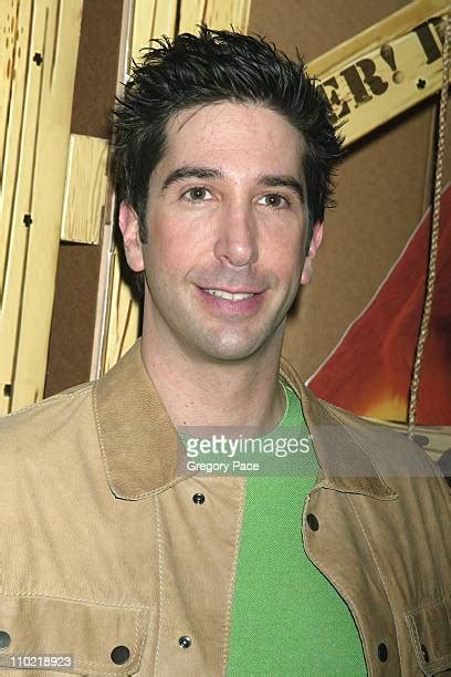 414 Schwimmer Madagascar Photos & High Res Pictures - Getty Images