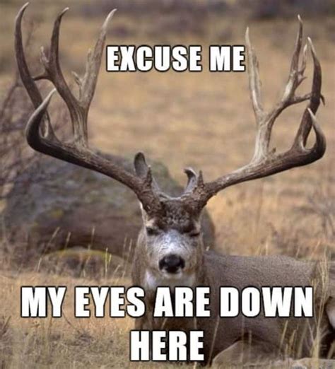 #coyotehuntinggunsrifles | Hunting humor, Deer hunting humor, Hunting ...