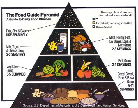 cohost! - "the food pyramid"