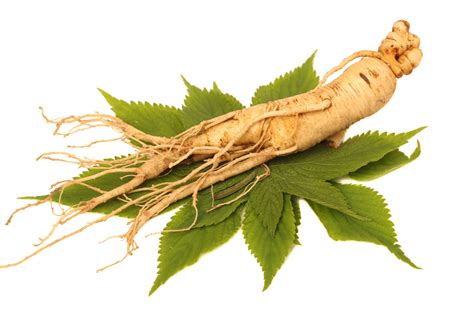 Herb Case Study: Ginseng - Yellow Emperor