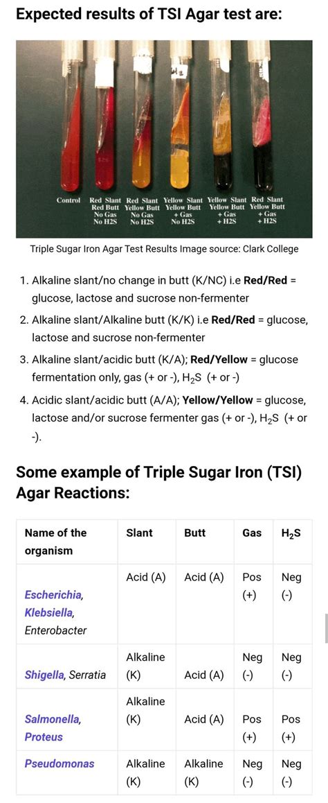 TSI Agar Result Interpretation | Medical laboratory science ...