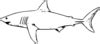 Shark Wheatpaste Luke Clip Art at Clker.com - vector clip art online, royalty free & public domain