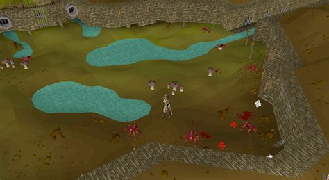 Where Do You Get Red Spiders’ Eggs? (OSRS) – FandomSpot