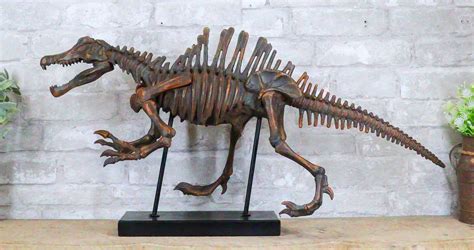 Spinosaurus Skeleton