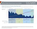 CMNIX - Market Neutral Income Mutual Fund | Calamos Investments