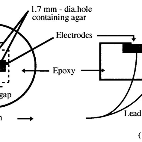 Schematic diagrams for interpreting the corrosion mechanism of... | Download Scientific Diagram