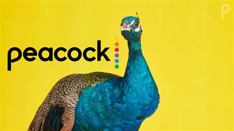 Peacock TV: free trial, channels, shows and full details on NBC's ...