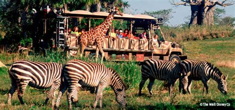 Changes on Kilimanjaro Safaris at Disney's Animal Kingdom take place ...