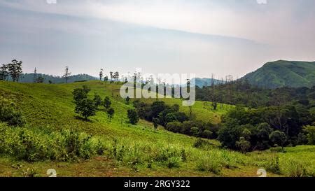 Traveling to Parunthumpara hill view Point. Parunthumpara is a village ...