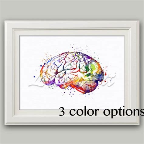 Human Brain Anatomy Art Watercolor Print Science Neurology - Etsy