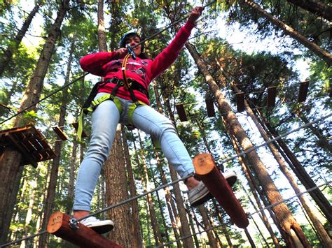 Tree Top Adventure Park & Ropes Course | Icy Strait Point – Icy Strait ...