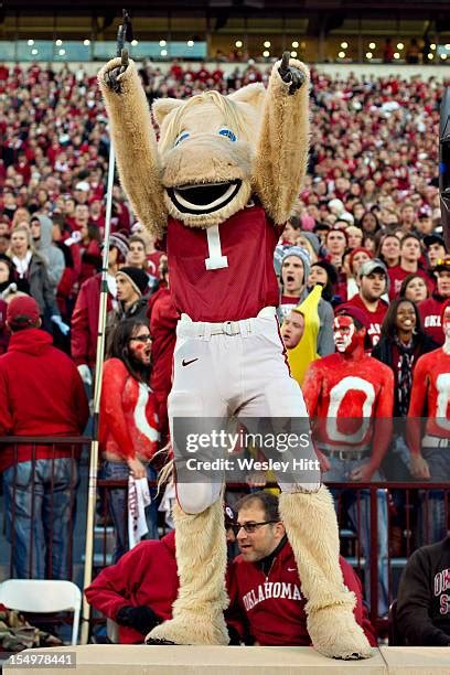 Oklahoma Sooner Mascot Photos and Premium High Res Pictures - Getty Images