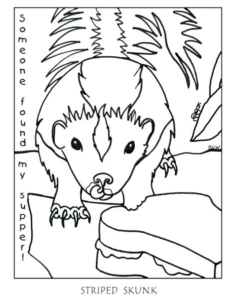 Possum Coloring Page at GetColorings.com | Free printable colorings pages to print and color