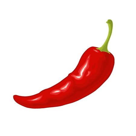 Vector of Chili whole. Vector flat color - ID:96070250 - Royalty Free Image - Stocklib