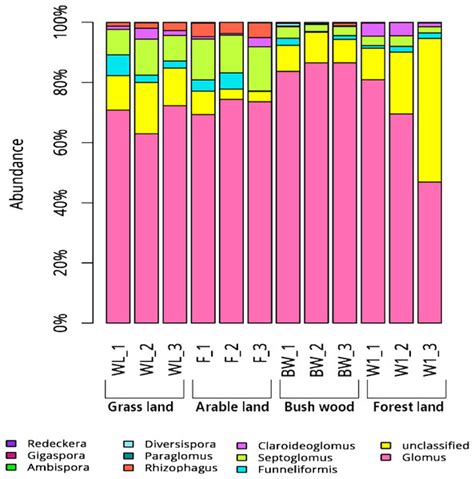 Species diversity and drivers of arbuscular mycorrhizal fungal ...