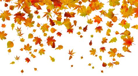 Transparent Fall Leaves PNG Clipart Image | Gallery Yopriceville - High ...