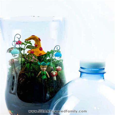 Magical Fairy Garden Terrarium Project