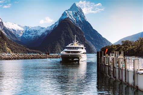 Milford Sound: Nature Cruise On A Modern Catamaran