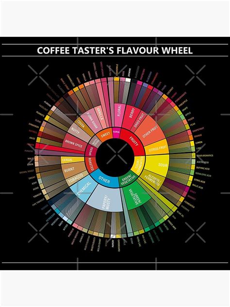 Coffee Flavour Wheel (on Black) Premium Matte Vertical Poster