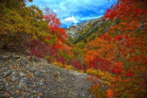 The Fall Foliage at These 21 Places in Utah is Stunningly Beautiful