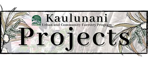 Forestry Programs | Kaulunani Urban & Community Forestry Program