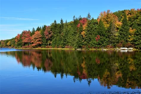 How to Find Fall Foliage in the Poconos – Dang Travelers