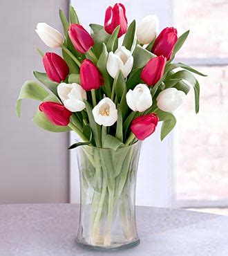 Information about "Tulip Bouquet.jpg" on mengali's florist - Davis - LocalWiki