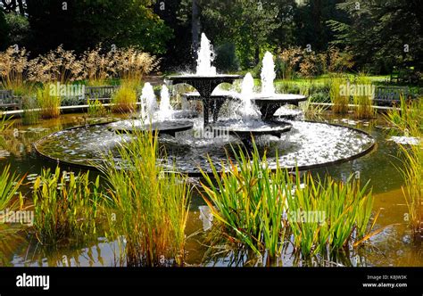 cambridge university botanic garden, england Stock Photo - Alamy