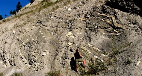 21.4 Western Canada during the Mesozoic – Physical Geology