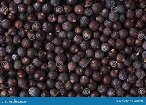 Dried Juniper Berries Spice As a Background, Natural Seasoning T Stock Image - Image of ...