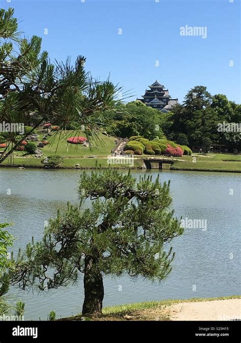 Japanese Garden and Castle Stock Photo - Alamy