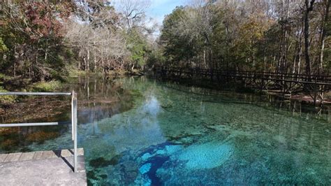 Photo 1 of 28 of Gilchrist Blue Springs State Park - High Springs, FL - Campendium