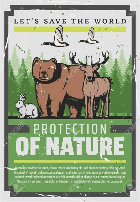 Protect nature, save wild animals vintage poster. Vector Wildlife and ...