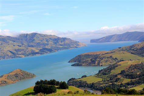 Akaroa, New Zealand | New zealand travel, Favorite places, Christchurch