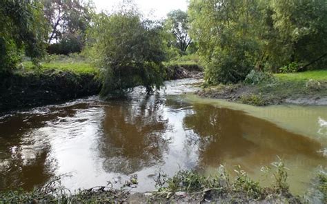 Hicimos del Río San Pedro un gigantesco muladar | El Heraldo de ...