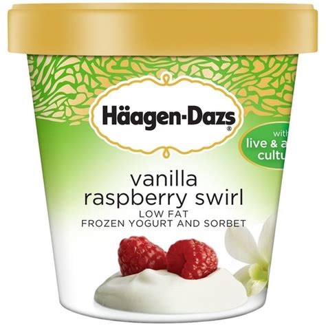 Haagen-Dazs Vanilla Raspberry Swirl Low Fat Frozen Yogurt (14 fl oz ...