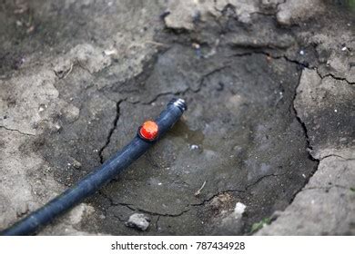 Drip Irrigation System Vegetables Stock Photo 787434928 | Shutterstock