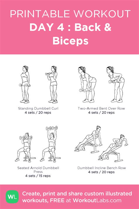 Bicep workout with the best biceps dumbbell exercises for women – Artofit