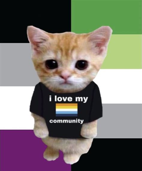 Aroace pfp/icon!! Cute aroace pfp with kitty （^ν^） | Lgbt humor, Lgbt art, Gay memes