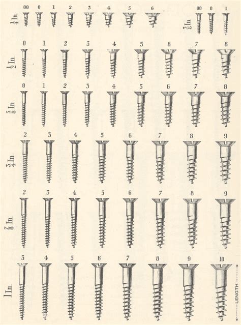 Understanding Screw Sizes