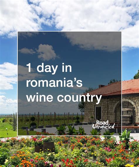 Romanian Wine Tasting: Finding Feteasca Neagra in Dracula Country