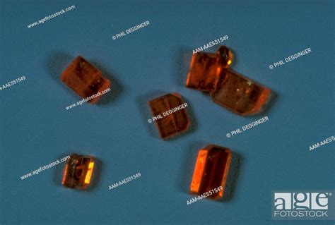 Potassium Dichromate Crystals (Triclinic), Stock Photo, Picture And Rights Managed Image. Pic ...