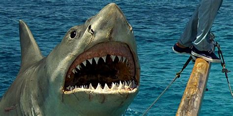 Jaws’ Shark Is A Voodoo Curse, According to The Revenge’s Novelization