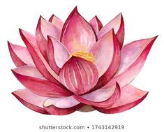 140 ideas de Flor de loto dibujo | flor de loto dibujo, flor de loto, disenos de unas